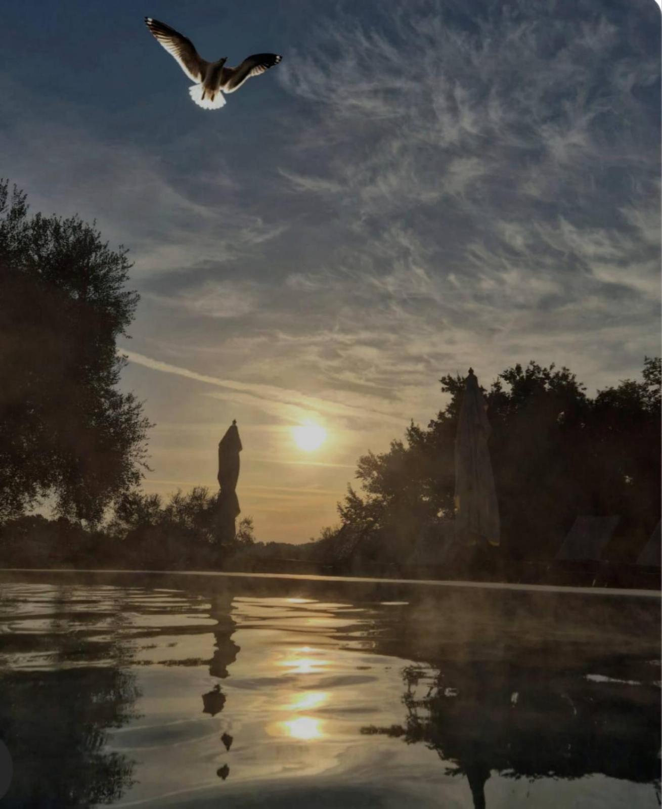 Fattoria Pianetti Guest House Manciano Exterior photo
